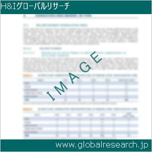 グローバルリサーチ調査レポートのイメージ
